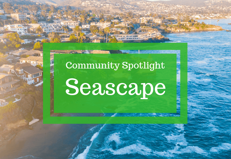 Community Spotlight: Seascape